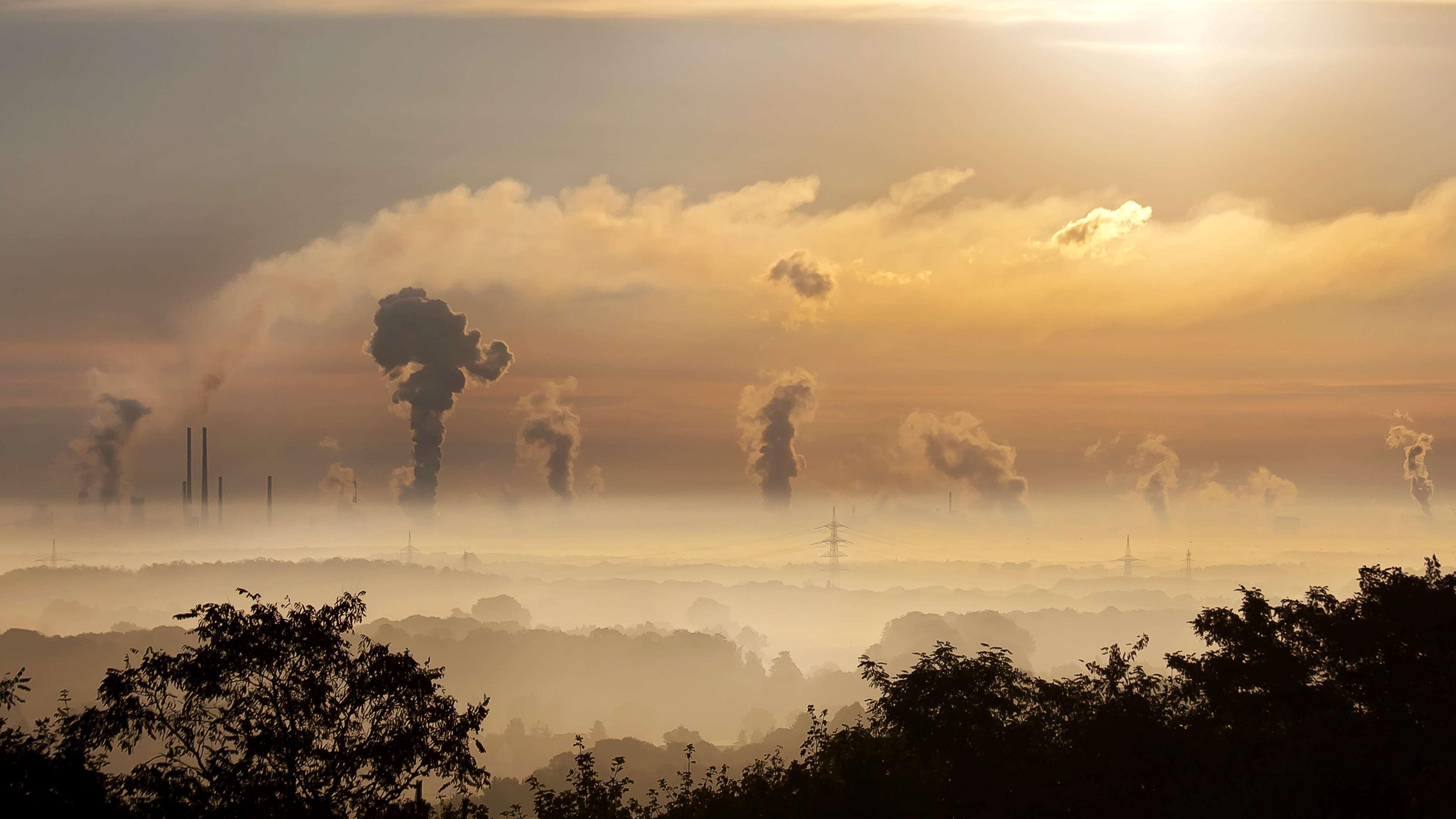 Kohlenstoffneutralität definieren: Nicht so einfach, wie es scheinen mag