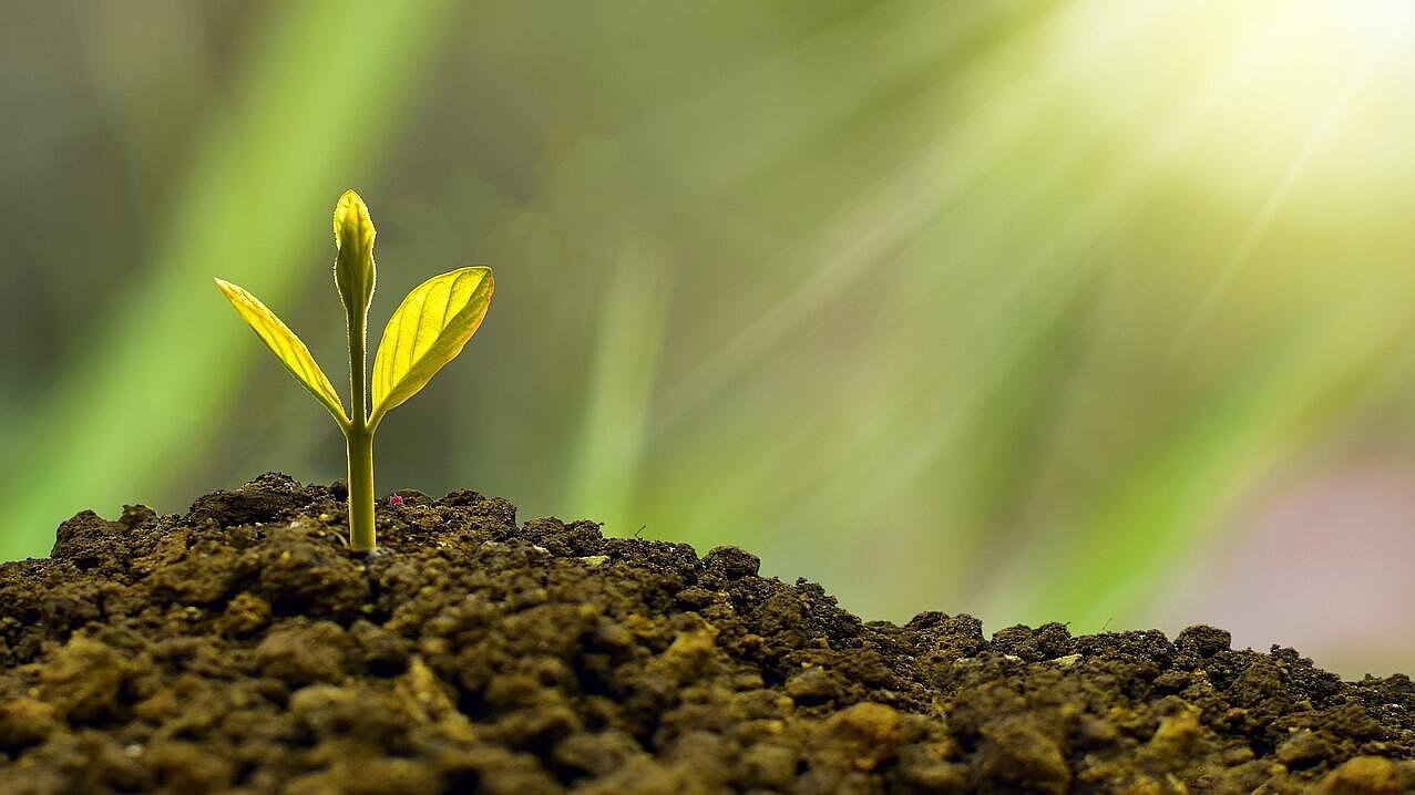 Stimolare la domanda dei consumatori per gli investimenti in efficienza energetica