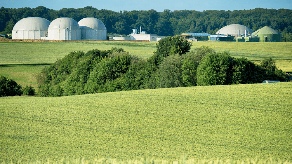 A bioenergia sustentável e o seu papel crucial na condução da transição verde nas indústrias