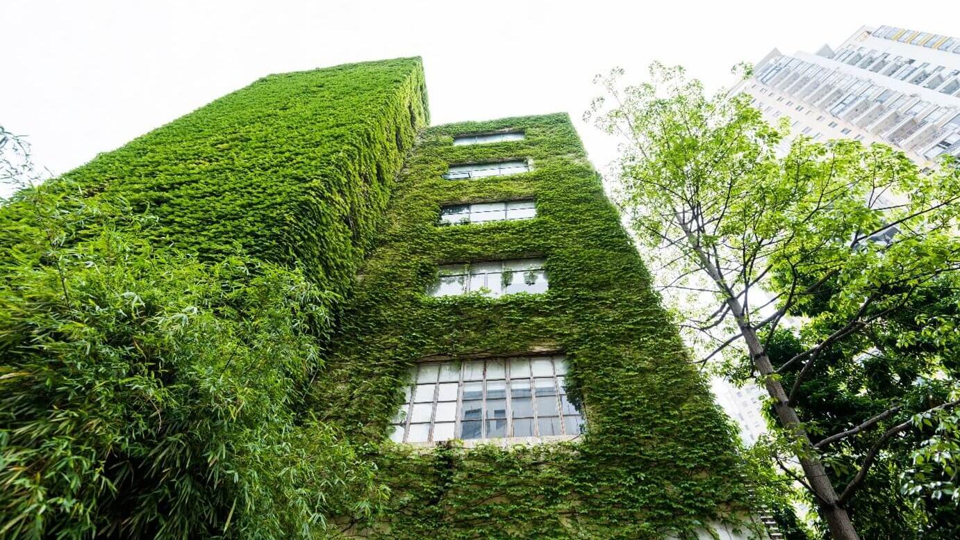 Facade greening - "Good for the environment and the feel-good factor".