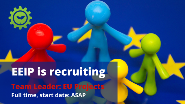 Assunzione: TEAM LEAD - UFFICIO PROGETTI UE